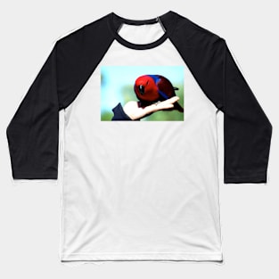 Eclectus Parrot - female Baseball T-Shirt